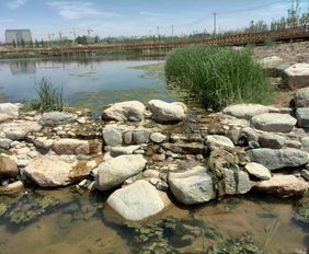 蘭州園林景觀工程預(yù)計(jì)年底全面完工，城市顏值再提升